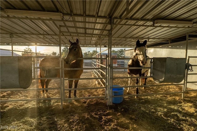 view of horse barn