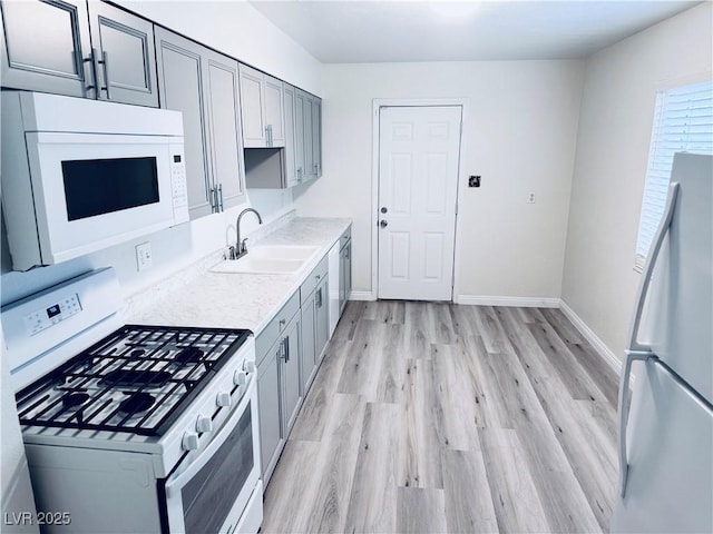 kitchen featuring white appliances, gray cabinets, light hardwood / wood-style floors, and sink