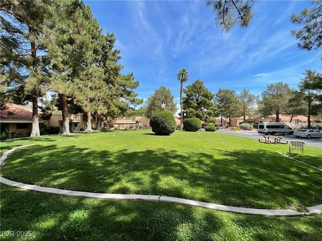 view of community featuring a lawn