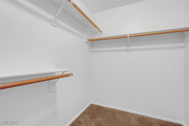 walk in closet with carpet floors