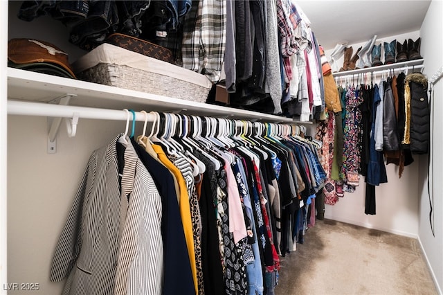 spacious closet featuring carpet