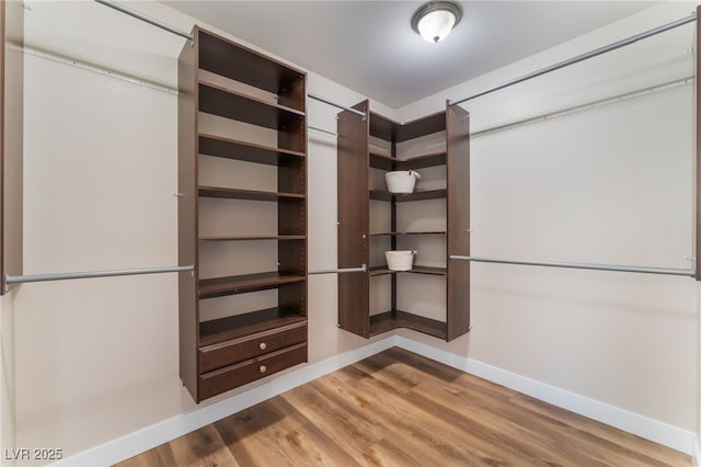 spacious closet with wood-type flooring