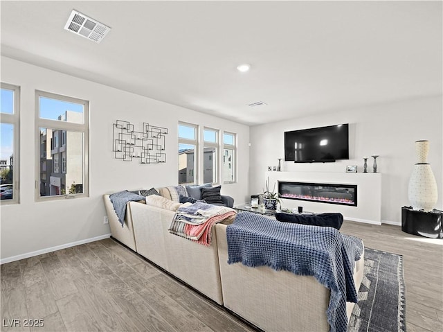 living room featuring hardwood / wood-style flooring