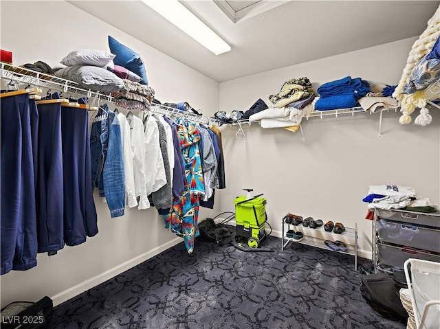 spacious closet featuring carpet