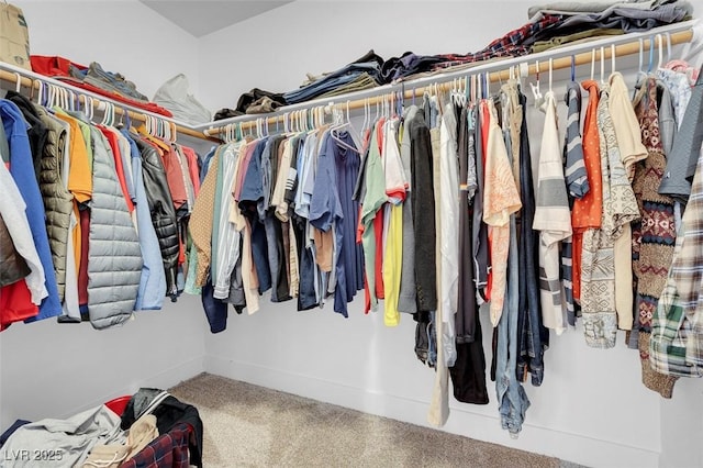 spacious closet featuring carpet