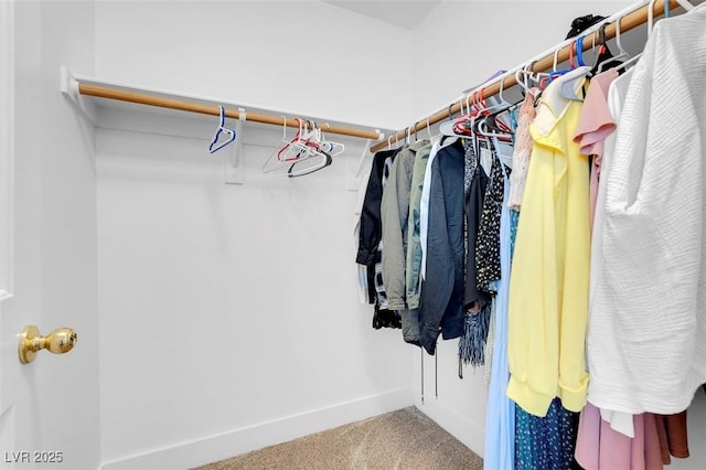 spacious closet featuring carpet