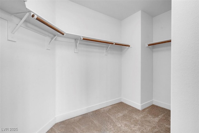 spacious closet featuring light colored carpet