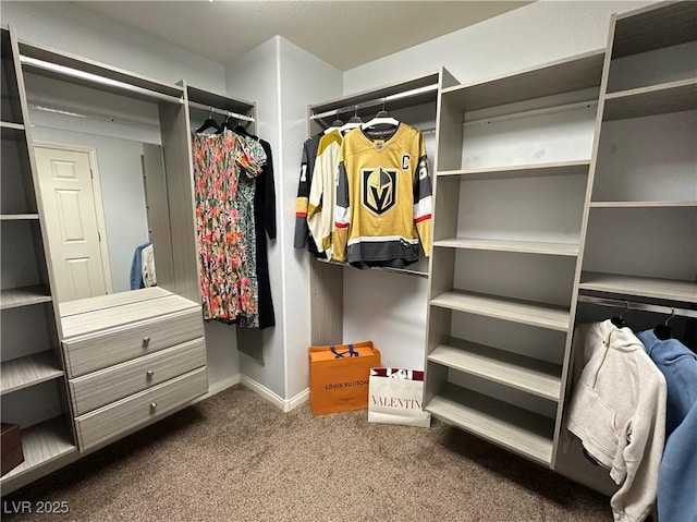 walk in closet featuring carpet flooring