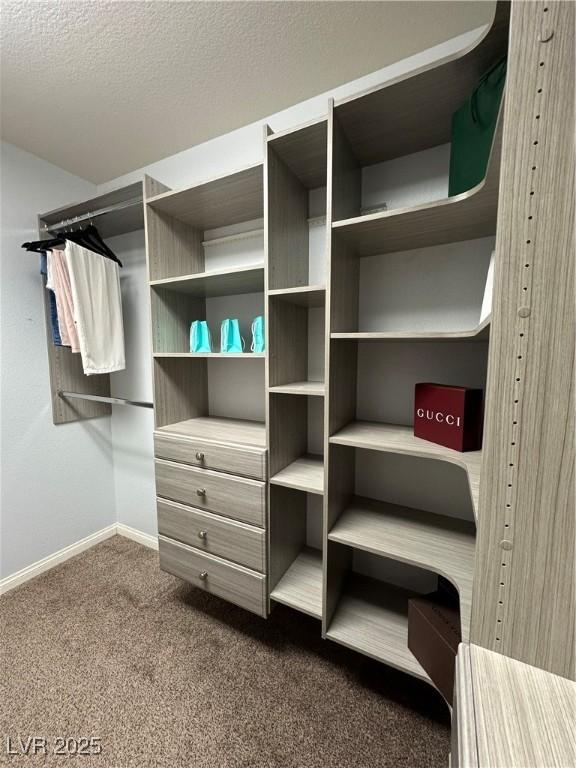 spacious closet with dark carpet