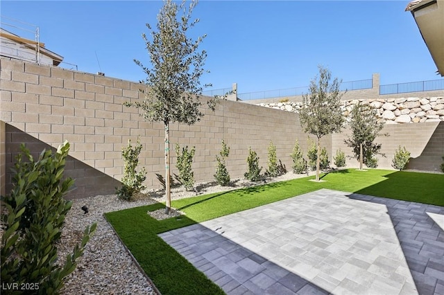 view of yard featuring a patio area