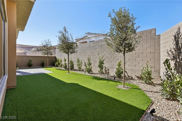 view of yard with a patio