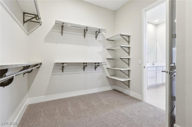 walk in closet featuring carpet floors