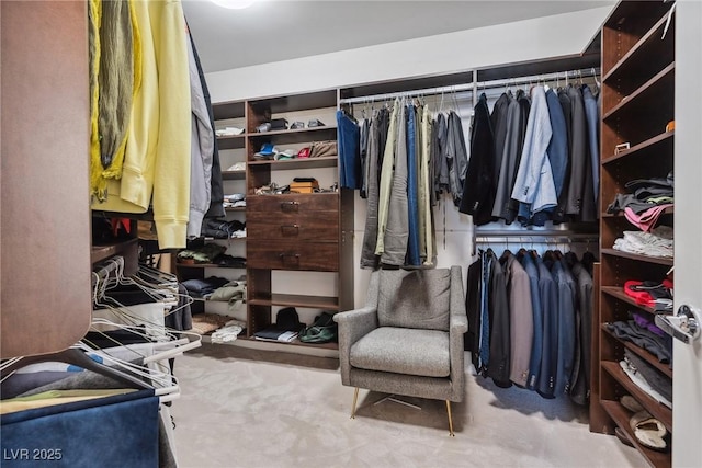 walk in closet with light carpet