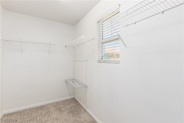 walk in closet with light colored carpet