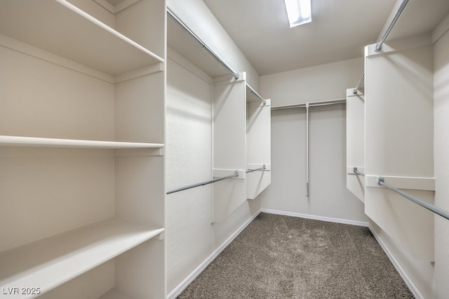 walk in closet featuring carpet