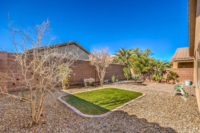 view of yard featuring a patio