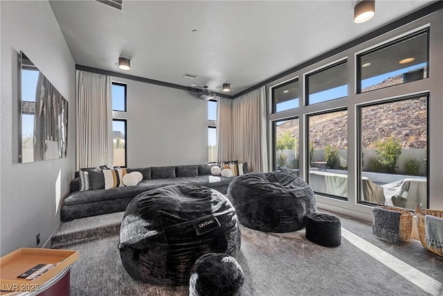 carpeted cinema room with plenty of natural light