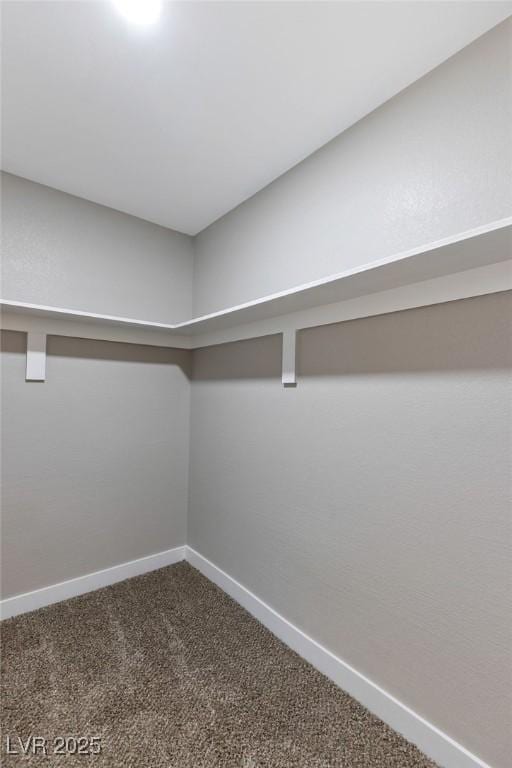 spacious closet featuring carpet floors