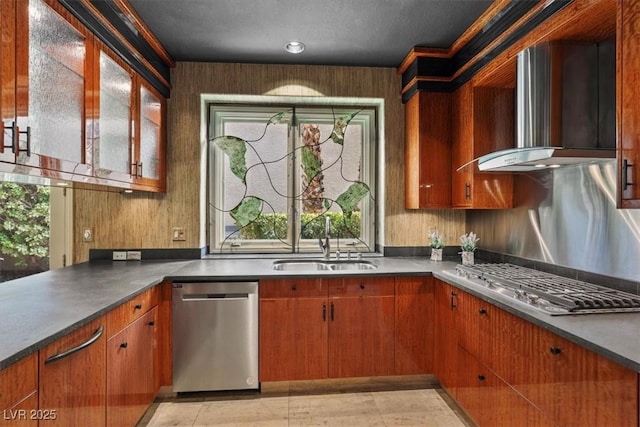 kitchen featuring sink, stainless steel appliances, and wall chimney exhaust hood