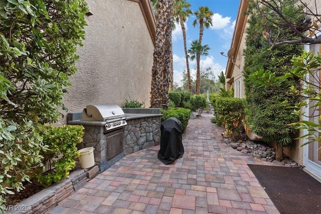 view of patio featuring an outdoor kitchen