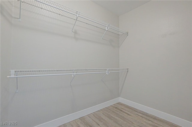 walk in closet with hardwood / wood-style flooring