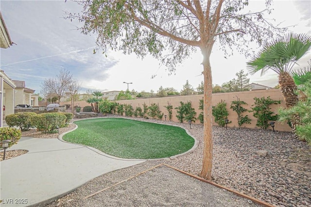 view of yard with a patio area