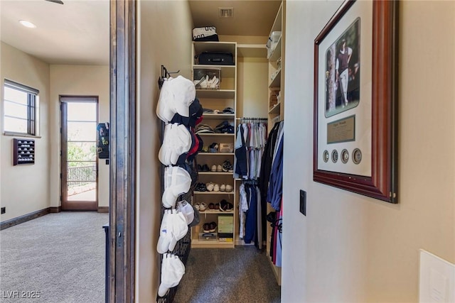 spacious closet with carpet floors