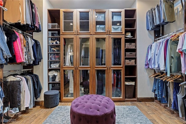 walk in closet with hardwood / wood-style floors