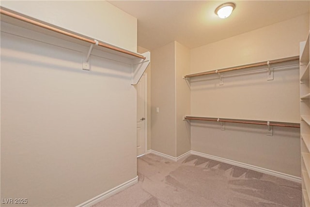 spacious closet with light colored carpet