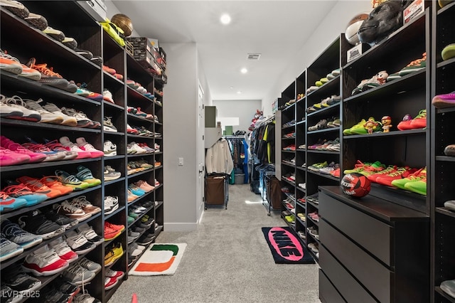 spacious closet featuring light colored carpet