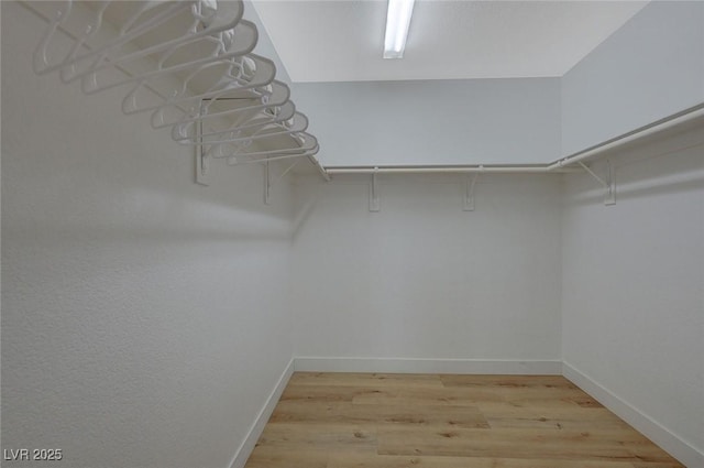 walk in closet featuring light hardwood / wood-style floors