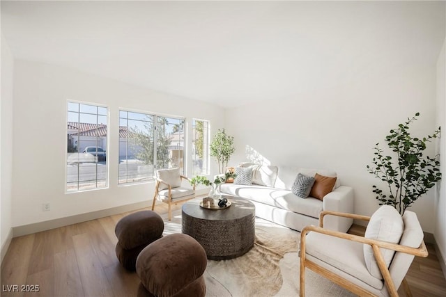 living room featuring wood-type flooring