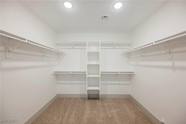 spacious closet featuring carpet flooring