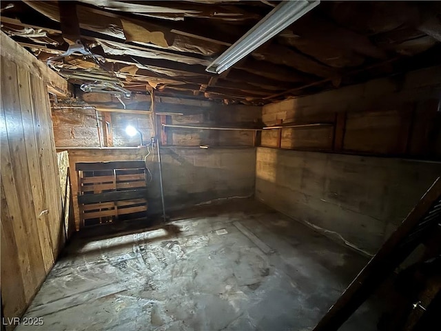 basement featuring wood walls