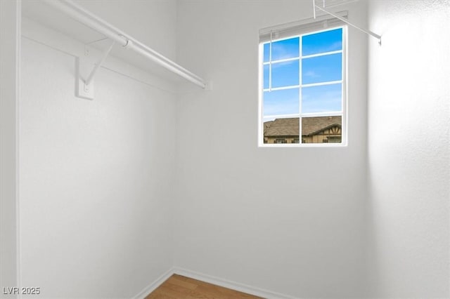 spacious closet with hardwood / wood-style floors