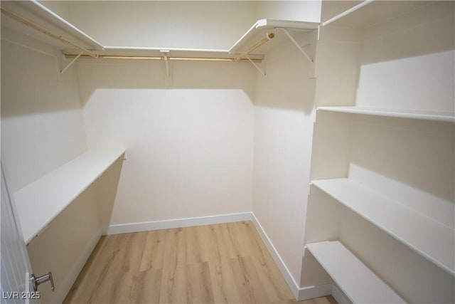 spacious closet featuring light wood-type flooring