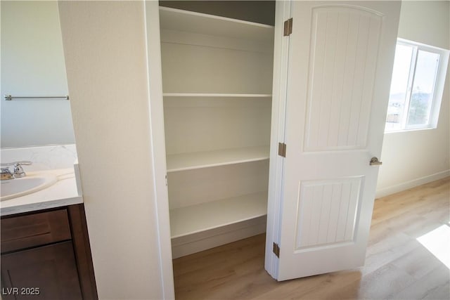 closet with a sink