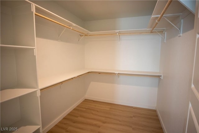 walk in closet featuring wood finished floors