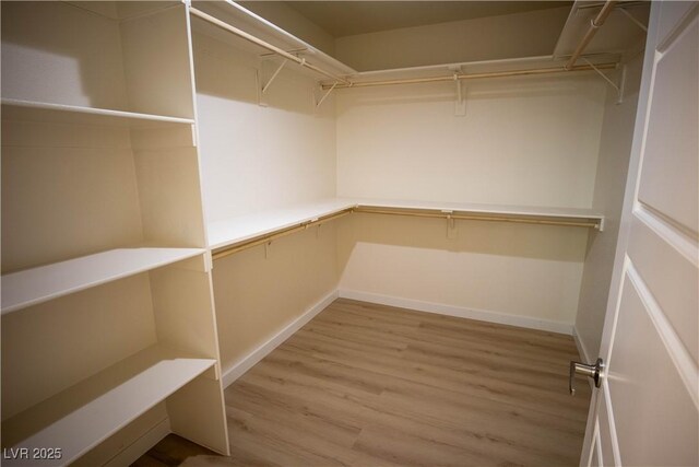 walk in closet with wood finished floors