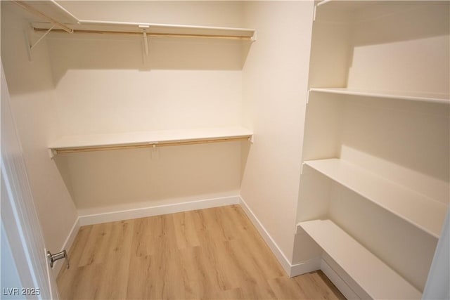 5821 Genoa Ave, Pahrump, NV 89060 - walk in closet with light wood finished floors