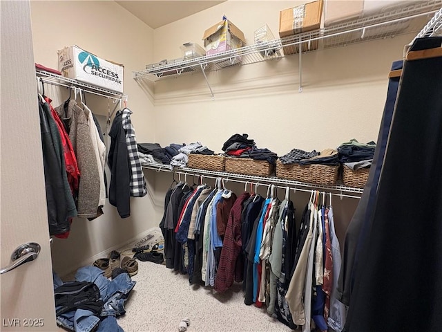 spacious closet featuring carpet flooring