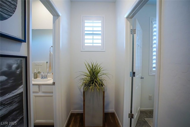 interior space featuring hardwood / wood-style flooring and vanity