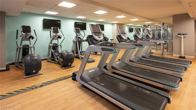 exercise room with hardwood / wood-style flooring and a drop ceiling