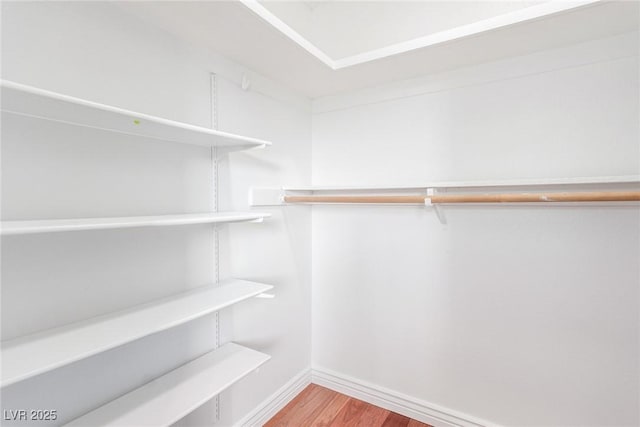 walk in closet featuring hardwood / wood-style flooring