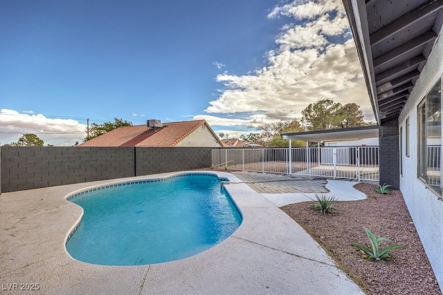 view of swimming pool with a patio area