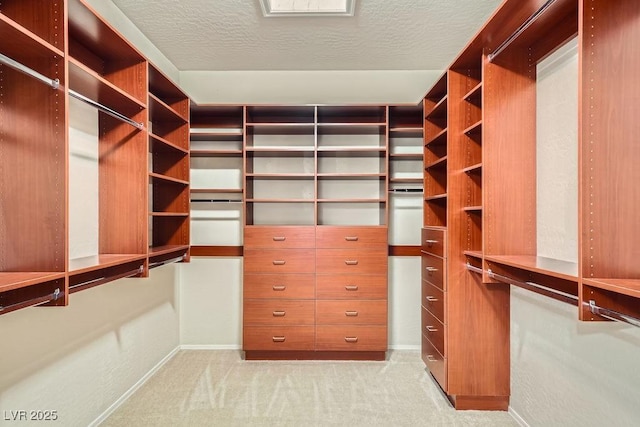 walk in closet featuring light colored carpet