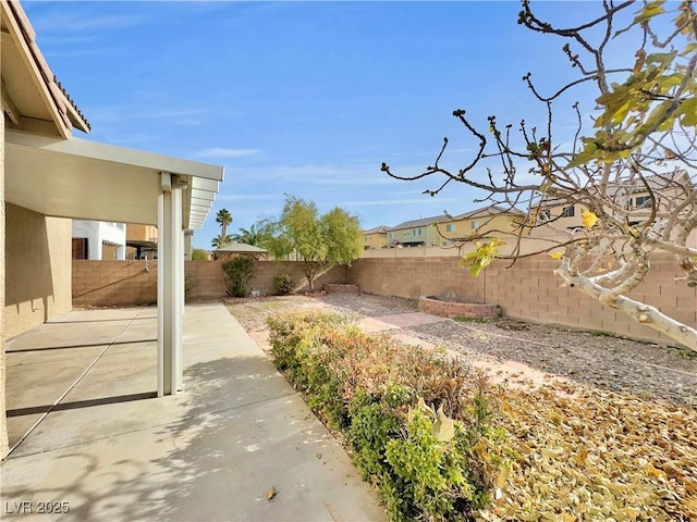 view of yard featuring a patio area