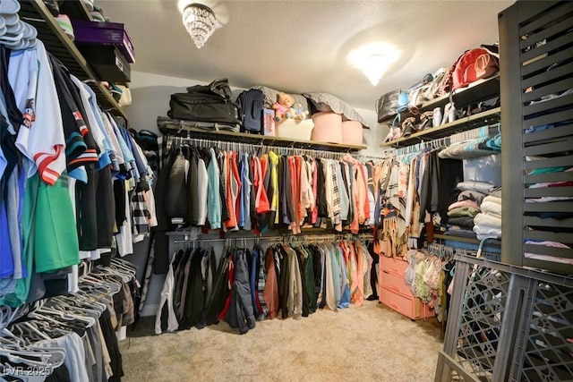 spacious closet with carpet floors