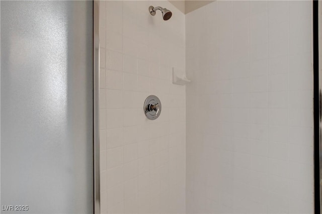 room details with tiled shower