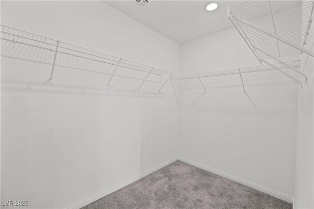 spacious closet featuring carpet floors